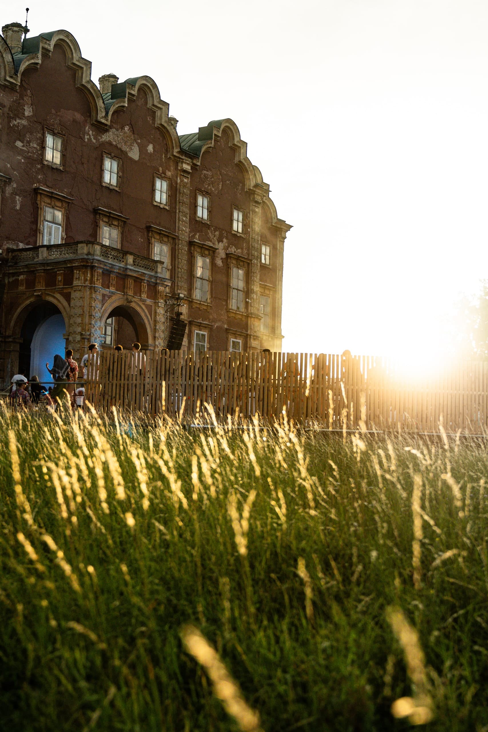 Gebäude mit Blumenwiese im Abendlicht
